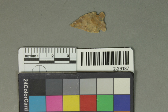 Hearst Museum object titled Projectile point fragment, accession number 2-29187, described as Arrowhead, chert