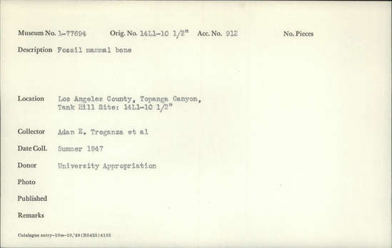 Documentation associated with Hearst Museum object titled Faunal remains, accession number 1-77694, described as Fossil mammal bone.