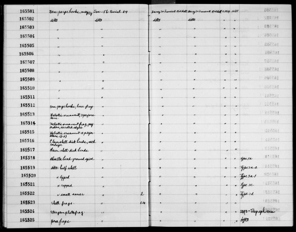 Documentation associated with Hearst Museum object titled Bead, accession number 1-165521, described as Olivella, cupped.