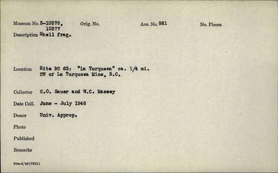 Documentation associated with Hearst Museum object titled Shell fragment, accession number 3-10377, described as Shell fragment