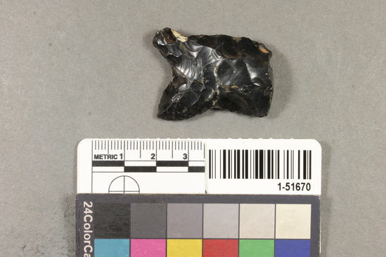 Hearst Museum object titled Projectile point, accession number 1-51670, described as arrowpoint fragment, Franciscan chert