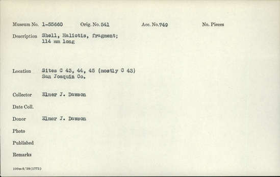 Documentation associated with Hearst Museum object titled Shell fragment, accession number 1-55660, described as Shell fragment, Haliotis; 114 mm long