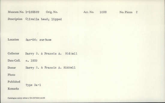 Documentation associated with Hearst Museum object titled Bead, accession number 1-165569, described as Olivella, lipped.