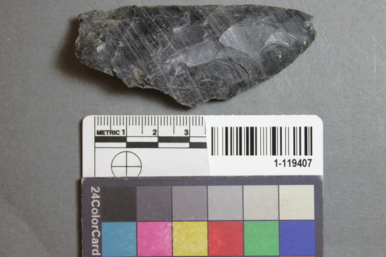 Hearst Museum object titled Blade fragment, accession number 1-119407, described as Obsidian