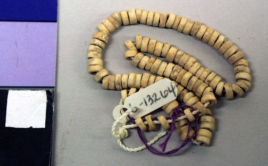 Hearst Museum object 2 of 2 titled Beads, accession number 6-13264, described as String white disc (ring) beads; length 18 cm.