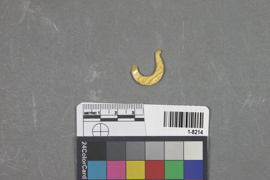 Hearst Museum object titled Fishhook, accession number 1-8214, described as haliotis fishhook