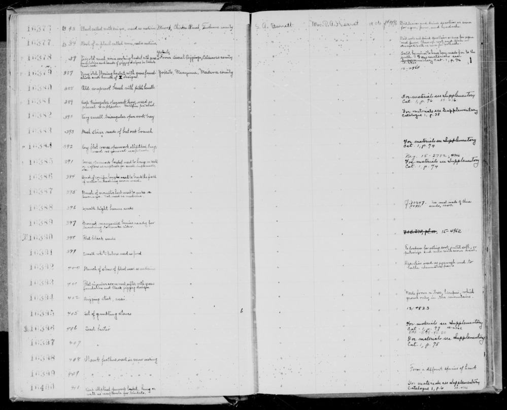 Documentation associated with Hearst Museum object titled Digging stick, accession number 1-10394, described as Digging stick. Made from a tree.