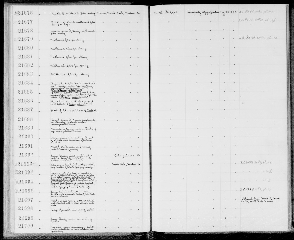 Documentation associated with Hearst Museum object titled Milkweed fiber, accession number 1-21683, described as Specimen, ethnobotanical; milkweed fiber. Raw material for string.