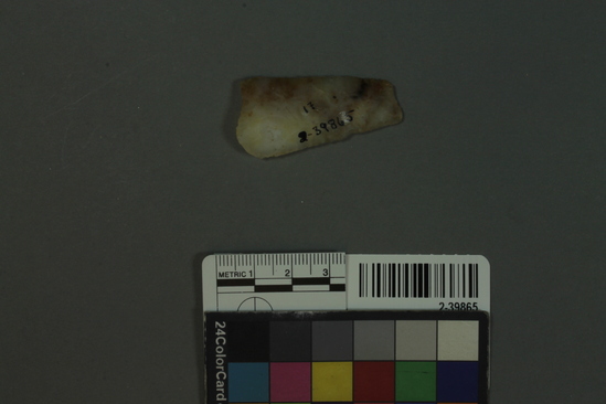 Hearst Museum object titled Projectile point fragment, accession number 2-39865, described as Chalcedony projectile point fragment