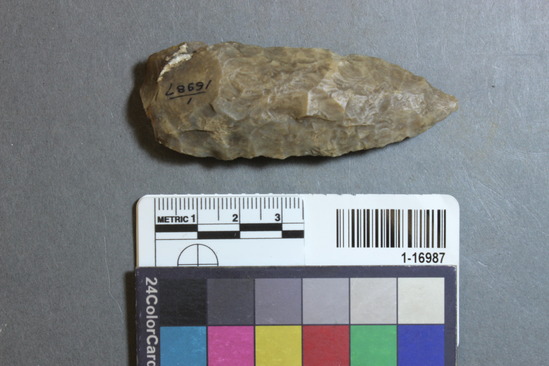 Hearst Museum object 14 of 28 titled Points, accession number 1-16987, described as Chipped points of flint, chert, etc.