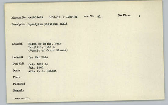 Documentation associated with Hearst Museum object titled Shell, accession number 4-1911, described as Spondylus pictorum shell.