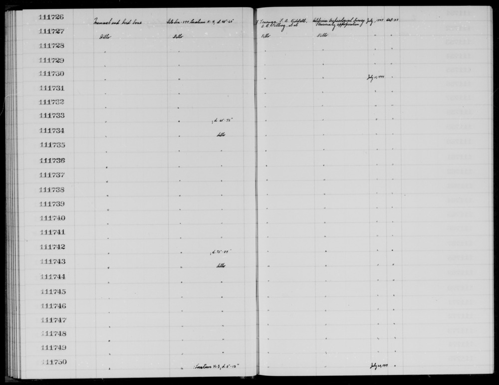 Documentation associated with Hearst Museum object titled Faunal remains, accession number 1-111741, described as Mammal and bird.