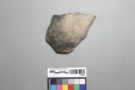 Hearst Museum object titled Potsherd, accession number 2-16877, described as Sherd; body, shell tempered, polished