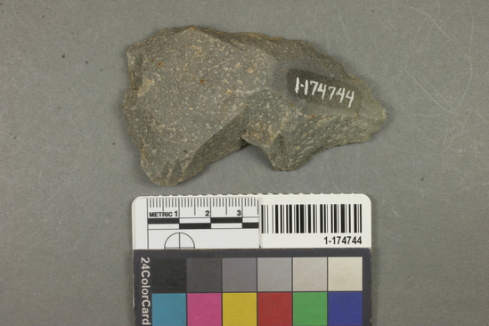 Hearst Museum object titled Flake, accession number 1-174744, described as Worked chert.