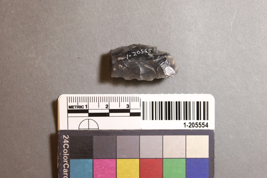 Hearst Museum object titled Blade fragment, accession number 1-205554, described as Obsidian