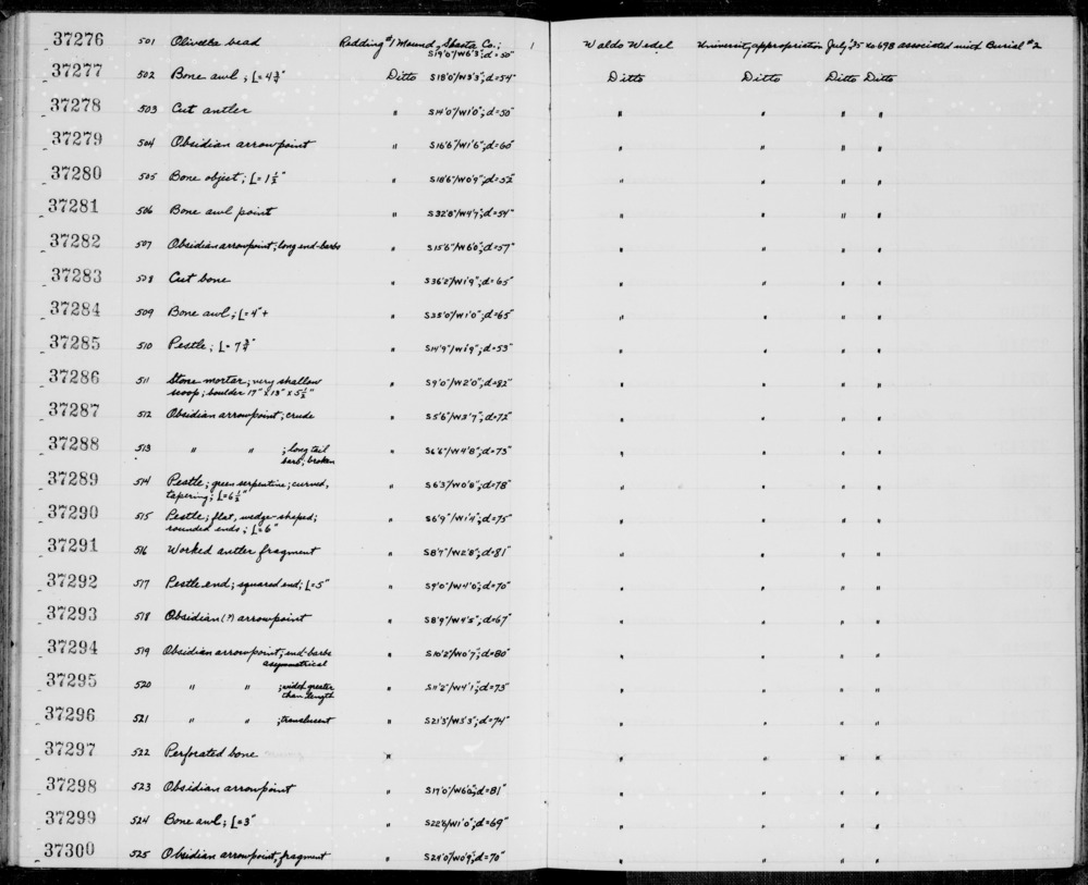 Documentation associated with Hearst Museum object titled Awl, accession number 1-37284, described as Bone