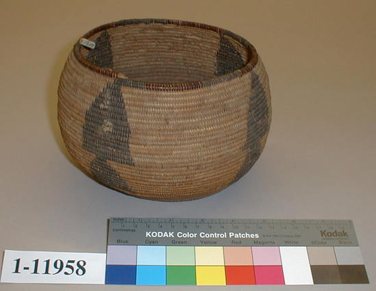 Hearst Museum object 1 of 2 titled Storage basket, accession number 1-11958, described as Small globosely coiled basket.  Tag "Yuki". Per Ralph Shanks:  Coiled globular basket bowl, probably made for storage.  Some residue in the interior.  The basket has a sewn over pinhole start.  The coil foundation is three rods of peeled shoots.  The background wefts are peeled redbud background on the base but on the sides of the basket it is sedge root with dyed bulrush root designs.  The design is four vertical bands of three upward- pointing stacked triangles.  There are random rectangles on the base, as well as some incorporated into the bulrush triangles.  The rim is plain wrapped with about every two inches of unpeeled redbud alternating with bulrush; the rim coil ending has six up to the right diagonal backstitches with two stitches covering the backstitches that are down to the right.  The weft fag ends are primarily clipped, with some concealed.  The weft moving ends are primarily concealed.  The basket has non-interlocking stitches.  The wefts on the exterior are less than 5% split; the wefts on the interior have over 40% split.  The basket has an exterior workface, with a rightward work direction, and a down to the right slant of weft twist.  Susan Rubin is said to be Yuki on the 1900 US census.  The note on this basket by Barrett's informant says that Yuki did not "use roots".   It is possible that Susan Rubin may have been Huchnom, who are known to use sedge root and bulrush root.  Huchnom used to be called Yuki as well.