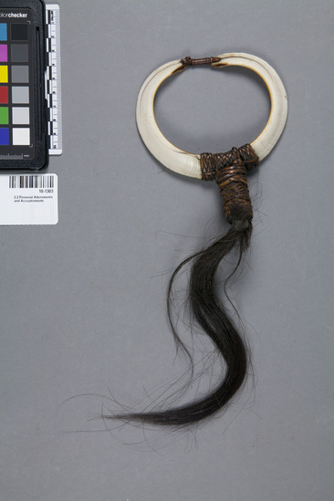 Hearst Museum object titled Bracelet, accession number 10-1303, described as Boar’s tusk bracelet with hank of hair; attached with plaited rattan bands; 4 3/8 maximum diameter