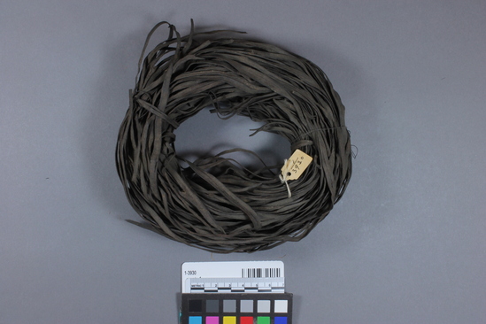 Hearst Museum object titled Coil, accession number 1-3930, described as Fern root, dyed black, one coil.