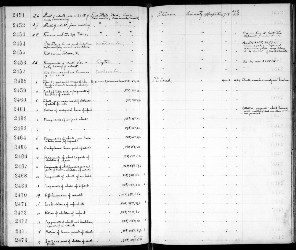 Documentation associated with Hearst Museum object titled Human remains, accession number 12-2456B, no description available. Notice: Image restricted due to its potentially sensitive nature. Contact Museum to request access.