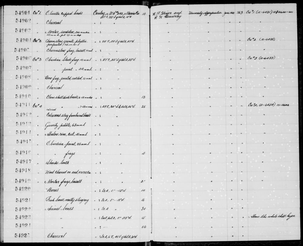 Documentation associated with Hearst Museum object titled Faunal remains, accession number 1-54920.3, described as Elk mandible fragment.