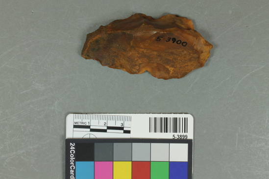 Hearst Museum object titled Flake, accession number 5-3900, described as Chert primary flake/core