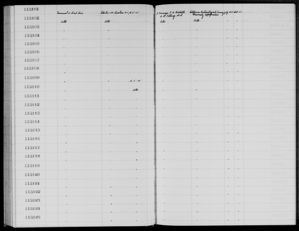 Documentation associated with Hearst Museum object titled Faunal remains, accession number 1-113125, described as Mammal or bird.