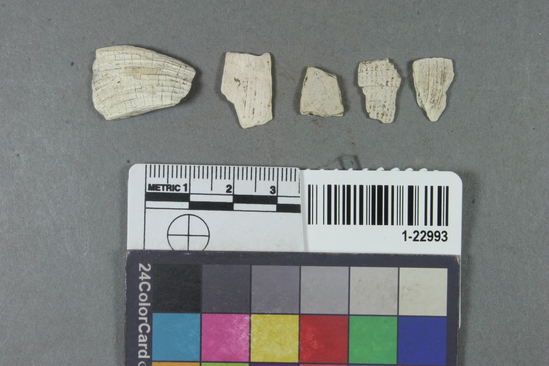 Hearst Museum object titled Shell, accession number 1-22993, described as shell fragments