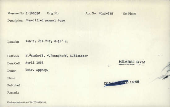 Documentation associated with Hearst Museum object titled Faunal remains, accession number 1-156016, described as Unmodified, mammal.