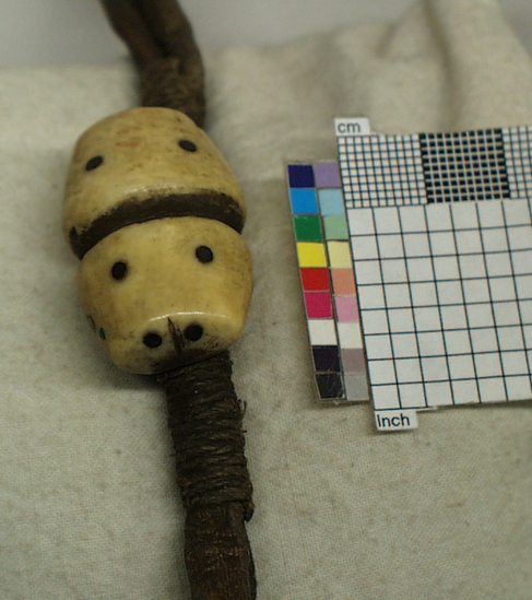 Hearst Museum object 2 of 3 titled Drag handle and cord, accession number 2-4270, described as Thong of sealskin through 2 ivory seal heads.