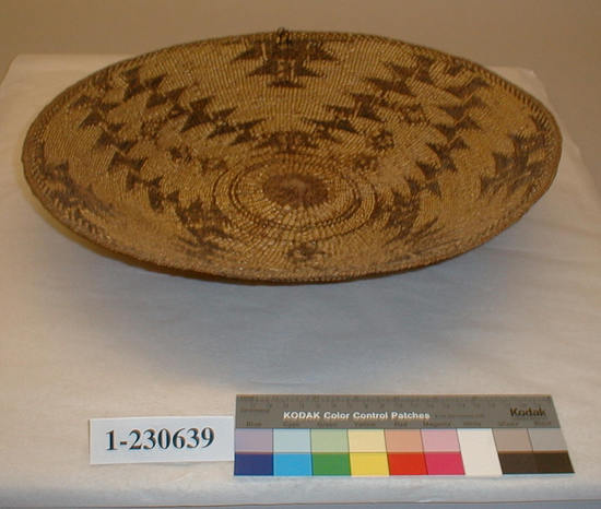 Hearst Museum object titled Basket, accession number 1-230639, described as Plain-twined, shallow basin shape, very flexible because of tule or cattail leaf cordage warp. Entirely covered with complex designs in black on ground of beargrass overlay.  Wrap and weft of tule or cattail leaf, overlay of Xerophyllum tenax and a black material.  Bast cordage around start.