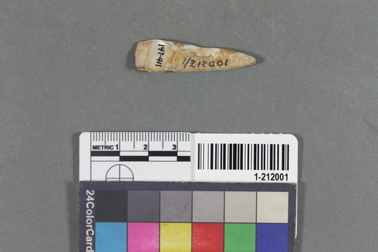 Hearst Museum object titled Shell fragment, accession number 1-212001, described as Triangular haliotis; one end perforated; broken or fragmentary.