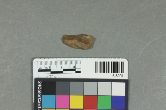 Hearst Museum object titled Flake, accession number 5-8091, described as flake; irregular rectangular outline;  two long edges thin; L 2.5cm