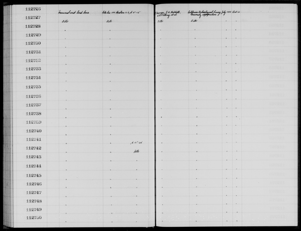 Documentation associated with Hearst Museum object titled Faunal remains, accession number 1-112744, described as Mammal and bird.