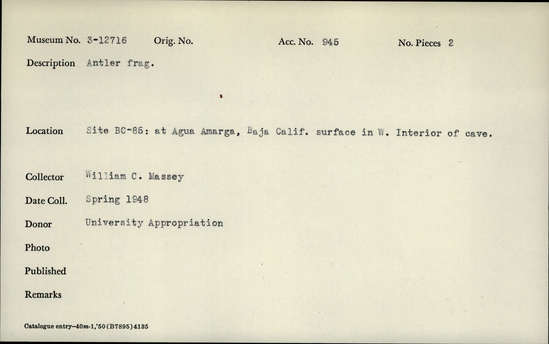 Documentation associated with Hearst Museum object titled Antler fragment, accession number 3-12716, described as Antler fragment.