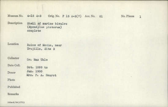 Documentation associated with Hearst Museum object titled Shell, accession number 4-15a, described as Shell of marine bivalve (Spondylus pictorum); complete.