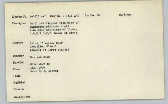 Documentation associated with Hearst Museum object titled Figures, accession number 4-2313b, described as Small red figures from edge of Spondylus pictorum shell, body and wings of birds.