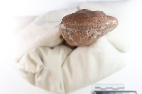 Hearst Museum object 2 of 7 titled Female figurine, accession number 6-20336, described as Pottery woman holding round object. Roman town.