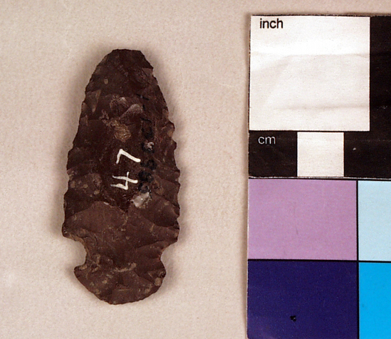 Hearst Museum object titled Point, accession number 1-133985, described as Chert point.