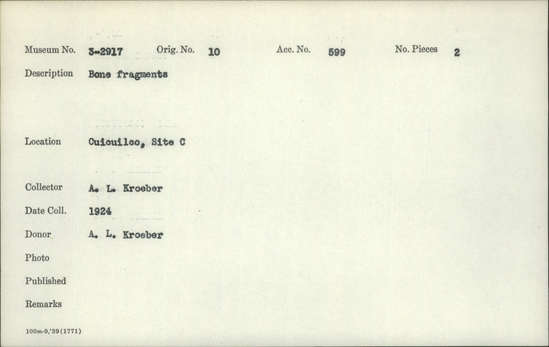 Documentation associated with Hearst Museum object titled Faunal remains, accession number 3-2917, described as Bone fragments