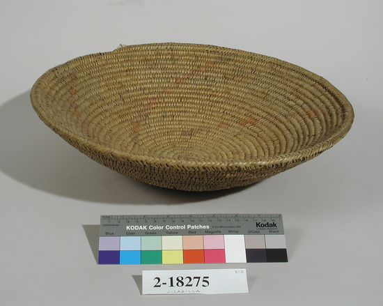 Hearst Museum object 2 of 3 titled Basket, accession number 2-18275, described as Coiled, concave.