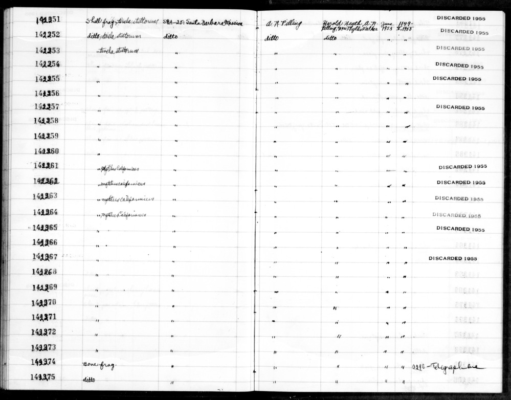 Documentation associated with Hearst Museum object titled Shell fragment, accession number 1-142261, described as Shell fragment.