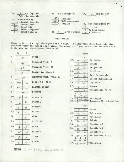 Documentation associated with Hearst Museum object titled Human remains, accession number 12-2821(0), described as The incomplete remains of a young adult male.