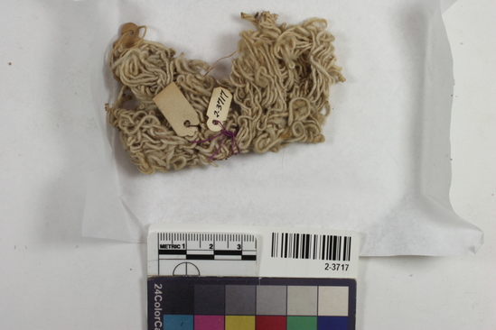 Hearst Museum object titled Cord, accession number 2-3717, described as Cord