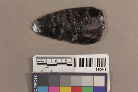 Hearst Museum object 3 of 3 titled Projectile point, accession number 1-60043, described as arrowpoint, obsidian