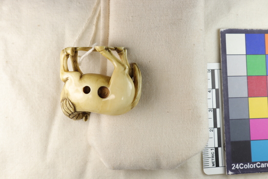 Hearst Museum object 11 of 12 titled Netsuke, accession number 9-18830, described as Netsuke; horse, standing, facing to its left; exxagerated [sic, exaggerated] facial features and generalized body; four feet connected by patch representing ground; H 3.7 cm X L 4.2 cm
