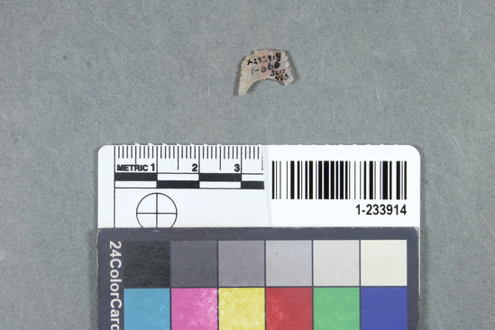 Hearst Museum object titled Point fragment, accession number 1-233914, described as Chalcedony point base fragment, or spoke-shave with serrated edges