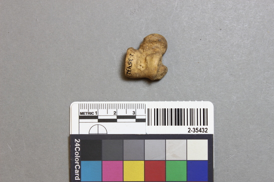 Hearst Museum object titled Faunal remains, accession number 2-35432, described as Unidentified calcaneum/calcaneus.