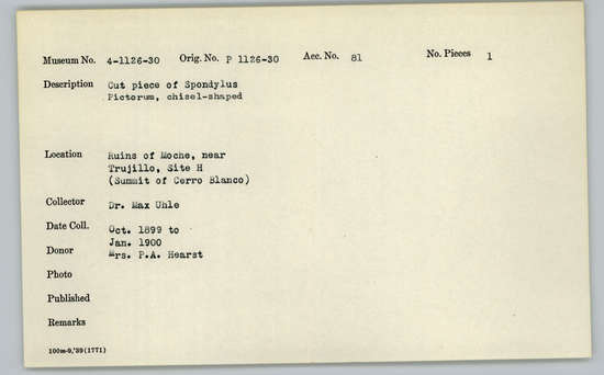 Documentation associated with Hearst Museum object titled Worked shell, accession number 4-1130, described as Cut piece of Spondylus pictorum, chisel-shaped.