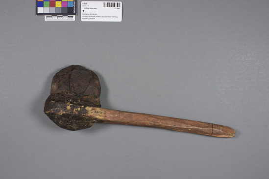 Hearst Museum object 3 of 3 titled Stone axe, accession number 11-2097, described as axe, stone blade, wooden handle